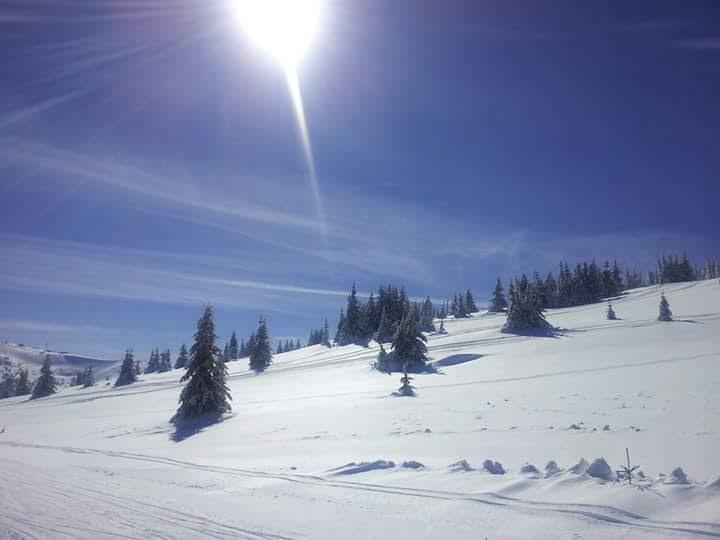 Apartman Nina Kopaonik Centar Appartement Buitenkant foto